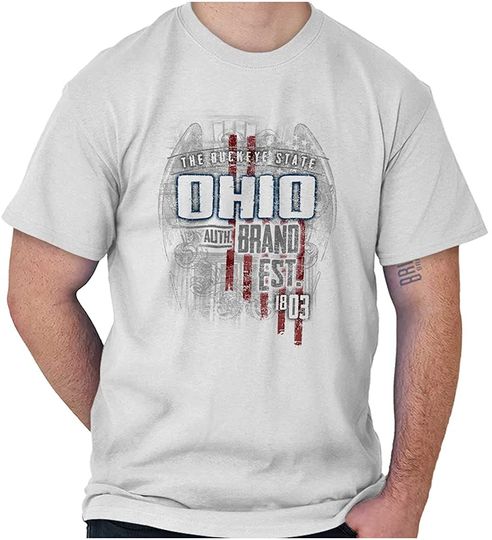 Ohio United We Stand American Emblem Graphic T-Shirt