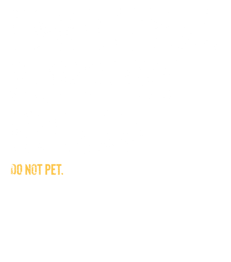 Emotional Support Human Pet Owner Pullover Hoodie
