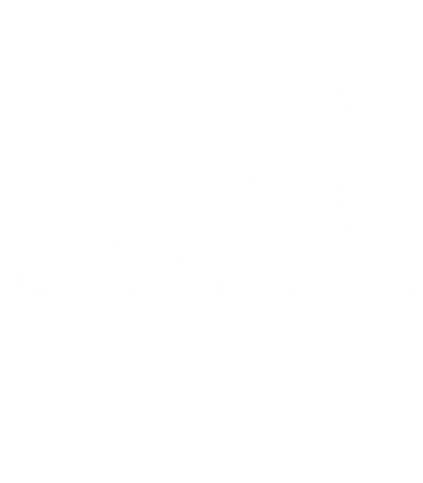 Evolution Of Rugby T-shirt